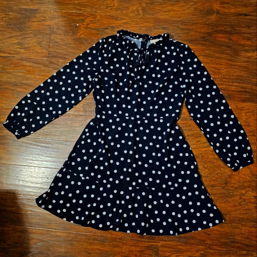 LOFT Long Sleeved Blue Dress